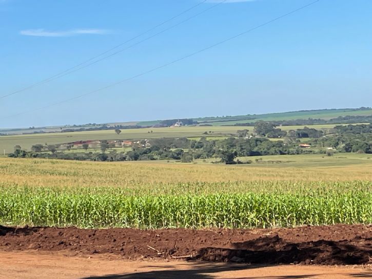Plantio de milho em 2026 em Maracaju (Hosana de Lourdes)