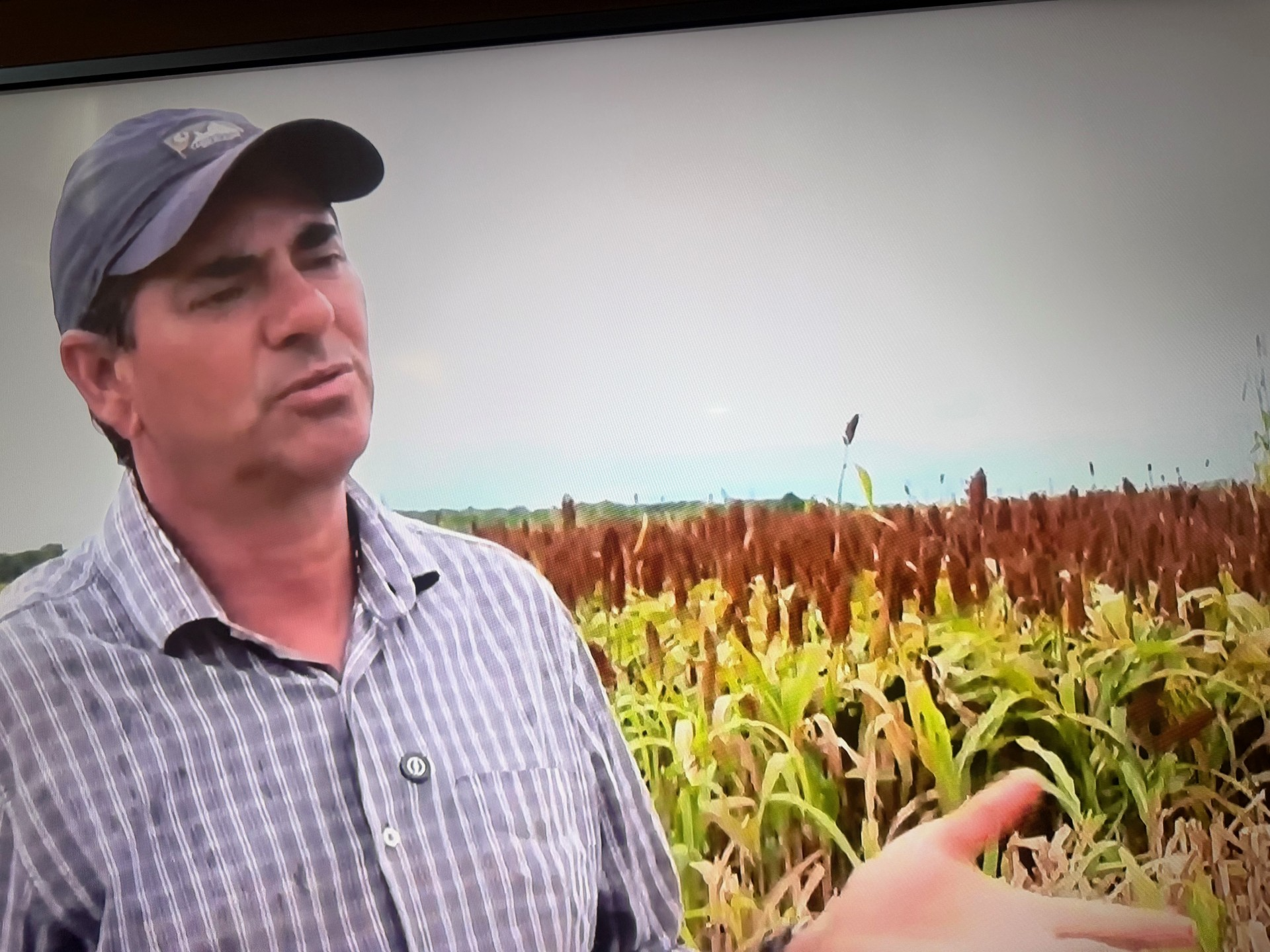 Produtor rural Valdenir POrtela durante entrevista  a TV Morena (Reprodu&ccedil;&atilde;o)