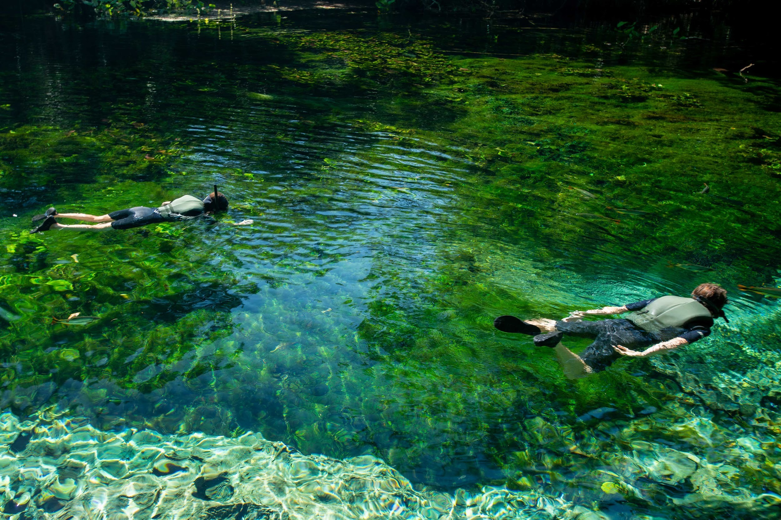 Flutuação no Aquário Natural (Foto: Hudson Garcia/Sectur Bonito - MS)