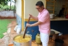Bocaja
