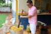 Bocaja