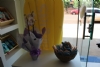 Gycla_maracaju