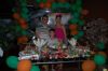 Niver do Pedro