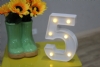 Niver_da_Clarinha