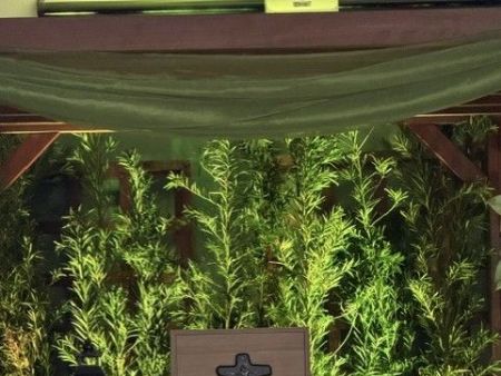 Local da Adoração da Paroquia Nossa Senhora Aparecida em Maracaju