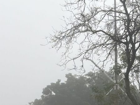 Neblina na Avenida mario Correa Centro de Maracaju