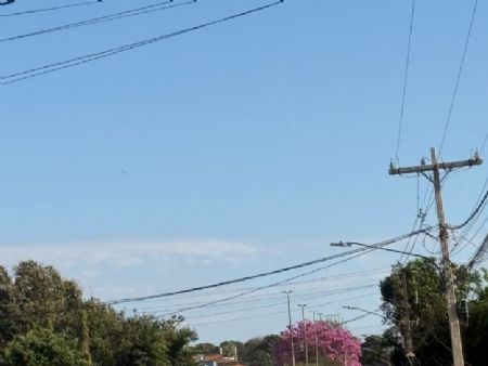 Avenida em Maracaju mostra a beleza do Ipê