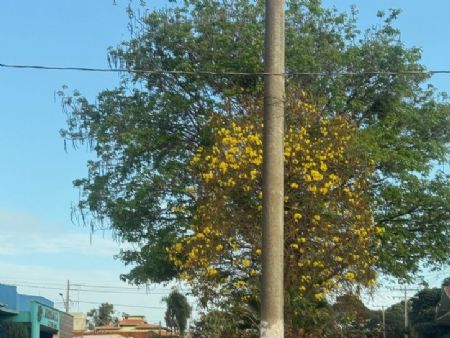 Maracaju registrou na madrugada deste sábado (6) temperatura mínima de 14°C