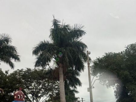Em Maracaju previsão de chuva para período da tarde