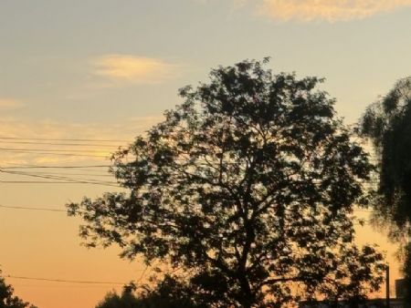 Tempo em Maracaju Mato Grosso do Sul