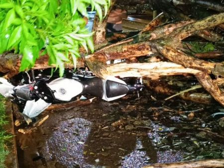 Motociclista fica ferido após ser atingido por árvore durante temporal em Dourados