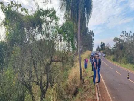 Picape no meio da vegetação após sair da pista e capotar (Foto: Eliton Santos/Impacto News)