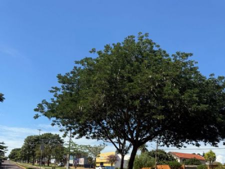 Avenida Mario Corrêa em Maracaju