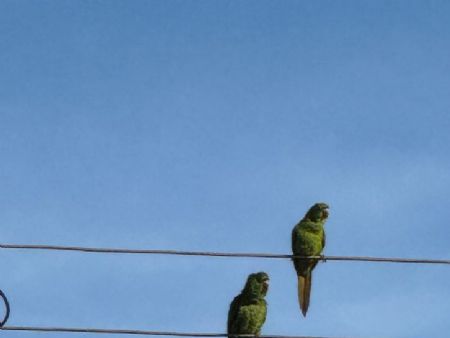 O Sol voltando aparecer em Maracaju