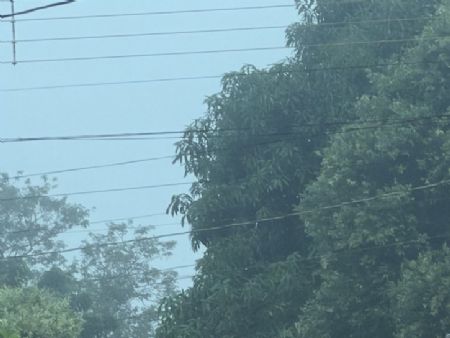 Dia traz neblina para Maracaju