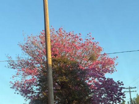 Avenida Marechal Floriano em Maracaju MS