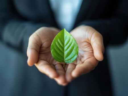 Seguro Garantia viabiliza projetos sustentáveis de infraestrutura que serão discutidos na COP30