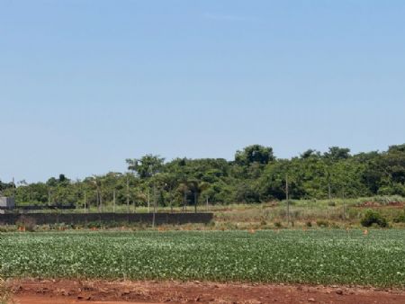 Um sol pra cada um no Bairro Alto Maracaju