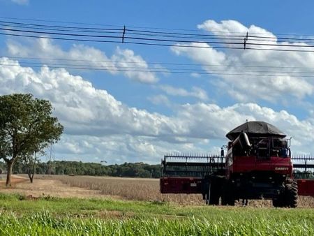 Colheita da soja na regiãao de Maracaju maior produtor de grão do Mato Grosso do Sul