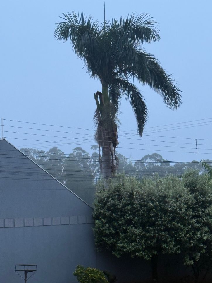 Neblina marca o amanhecer desta terça-feira em Maracaju após forte chuva na véspera