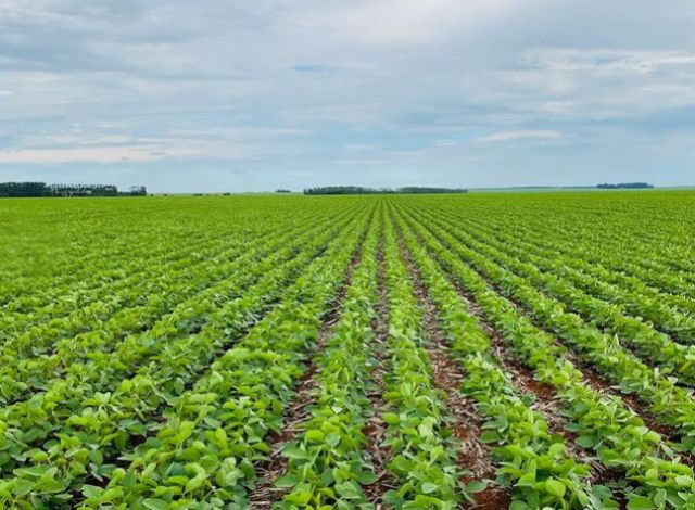 Produtores ruraais iniciaram o novo plantio de 2025/2026