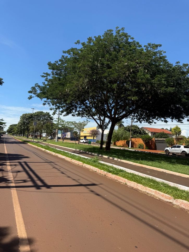 Avenida Mario Corrêa em Maracaju