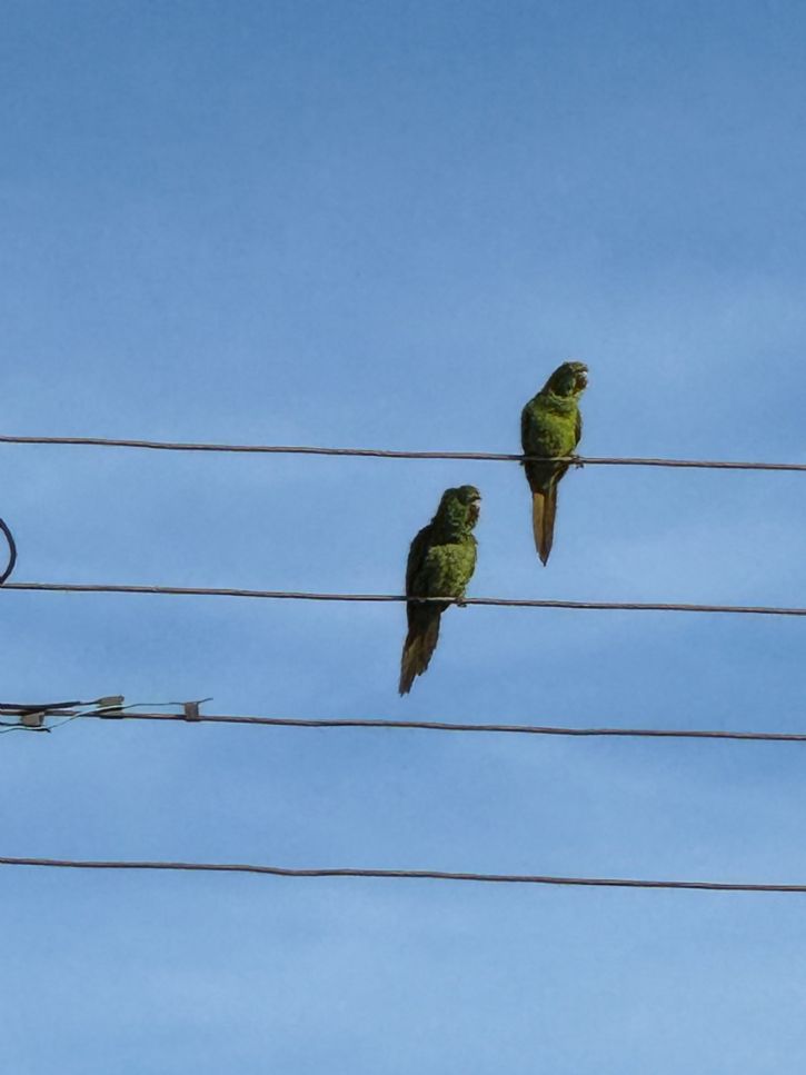 O Sol voltando aparecer em Maracaju