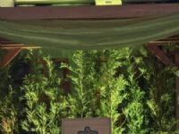 Local da Adoração da Paroquia Nossa Senhora Aparecida em Maracaju