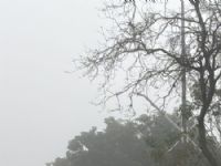 Neblina na Avenida mario Correa Centro de Maracaju