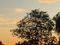 Tempo em Maracaju Mato Grosso do Sul