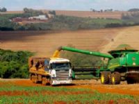 A área cultivada  atingiu 4,4 milhões de hectares, 5,5% a mais do que na safra passada e a produtividade cresceu em 4,2%, chegando a 3,4 mil quilos por hectare.
