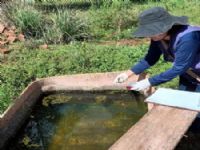 Mato Grosso do Sul registra 107 casos confirmados de dengue