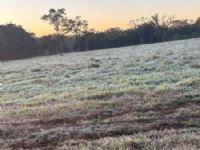 Região de Maracaju registrou 2°C graus na madrugada de terça feira
