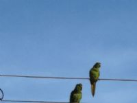 Sextou com sol forte em Maracaju