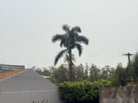 A cidade de Maracaju tem clima ameno nesta quarta feira